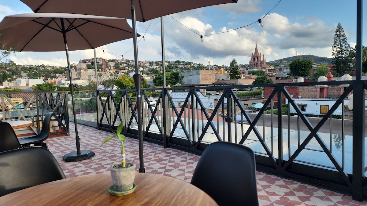 Divino Cielo Café