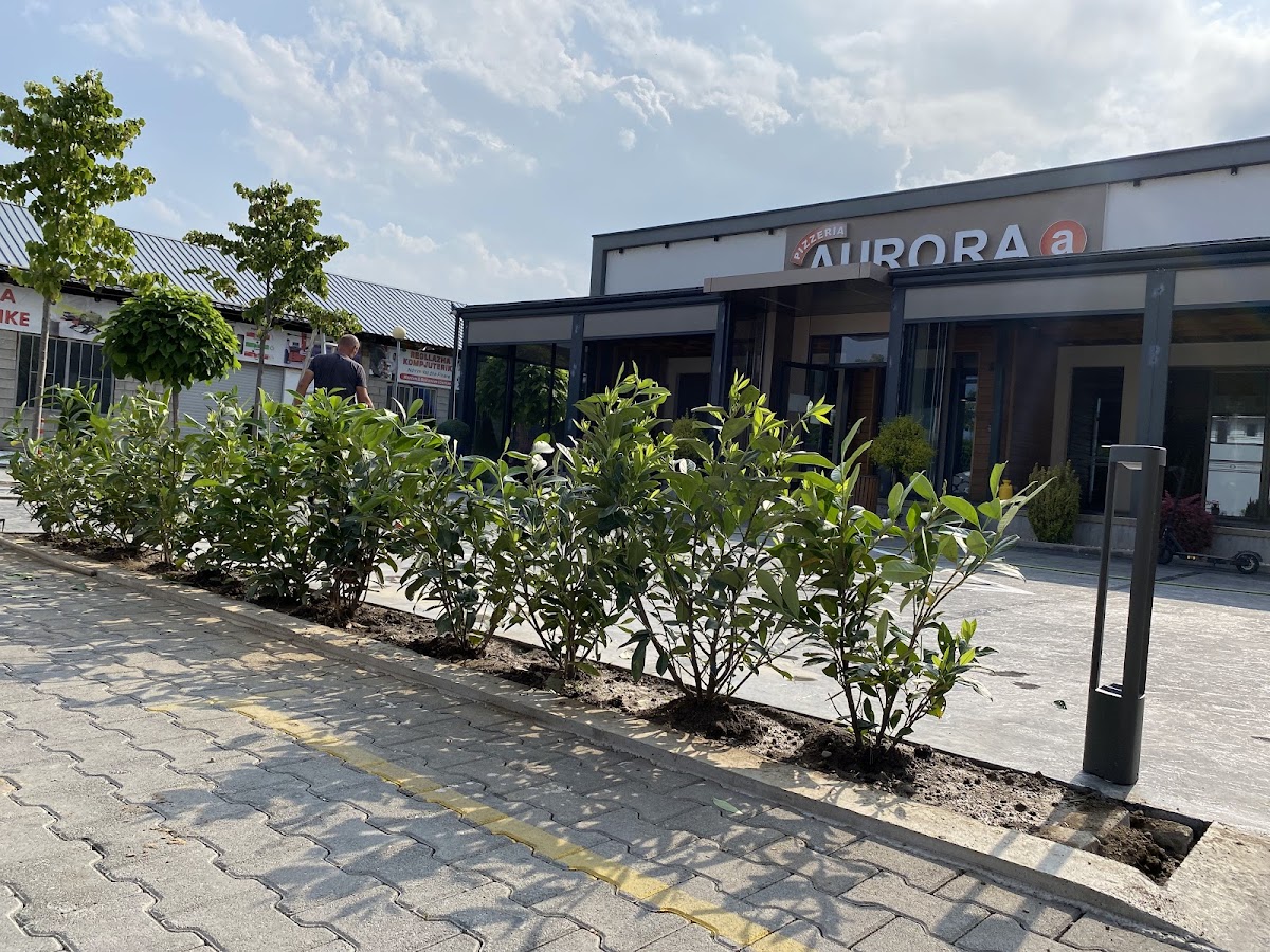 Pizzeria Aurora