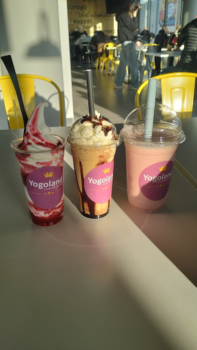 Yogoland
